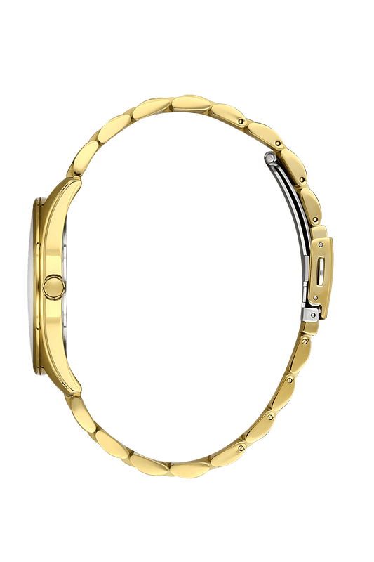 BIGOTTI MILANO Men's Gold Stainless Steel Watch - BG.1.10503-4