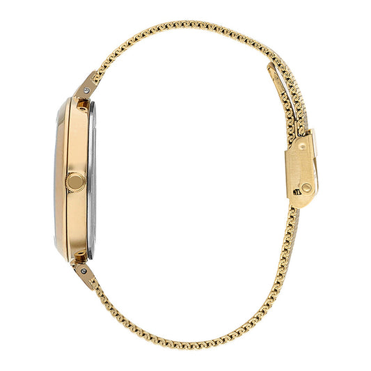 LEE COOPER Women's Gold Stainless Steel Analog Watch With Gift Set Necklace - LC07806.270