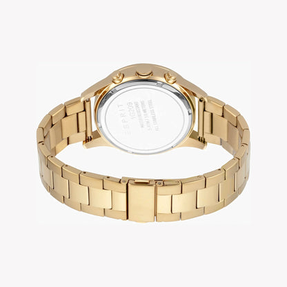 Esprit Men's Watch - ES1G209M0095