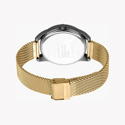 Esprit Men's Black Dial Gold Stainless Steel ES1G212M0095